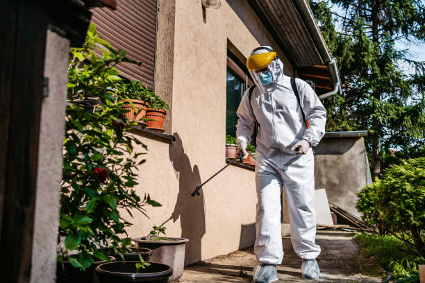 Best Cockroach Control Services  in Hazelwood, MO