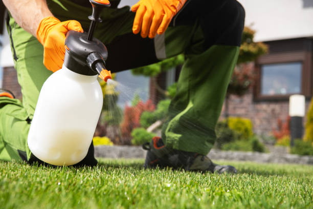 Best Best Pest Control Companies  in Hazelwood, MO