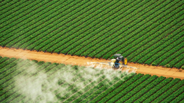 Best Termite Control Services  in Hazelwood, MO